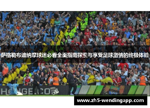 萨格勒布迪纳摩球迷必看全面指南探索与享受足球激情的终极体验