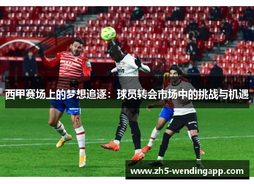 西甲赛场上的梦想追逐:球员转会市场中的挑战与机遇 西甲赛场上的梦想追逐:球员转会市场中的挑战与机遇