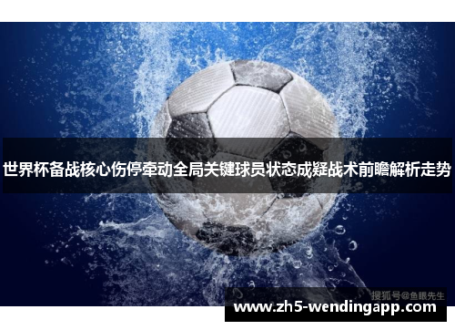 世界杯备战核心伤停牵动全局关键球员状态成疑战术前瞻解析走势