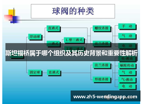 斯坦福桥属于哪个组织及其历史背景和重要性解析